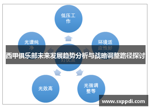 西甲俱乐部未来发展趋势分析与战略调整路径探讨