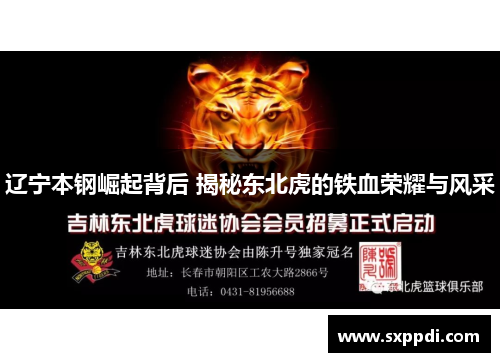 辽宁本钢崛起背后 揭秘东北虎的铁血荣耀与风采 辽宁本钢崛起背后 揭秘东北虎的铁血荣耀与风采
