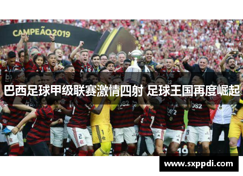 巴西足球甲级联赛激情四射 足球王国再度崛起 巴西足球甲级联赛激情四射 足球王国再度崛起
